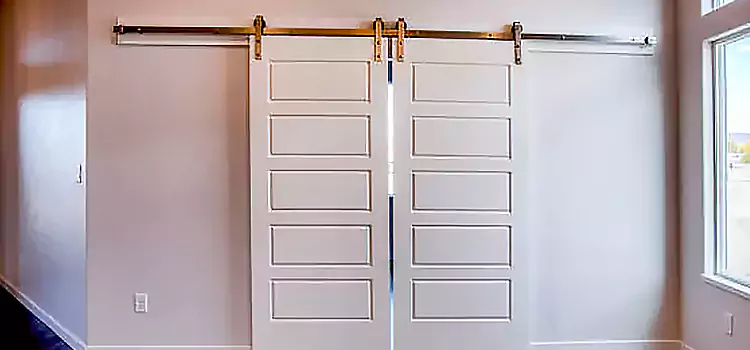Glass Barn Door with Installation Hardware Kit Hanford
